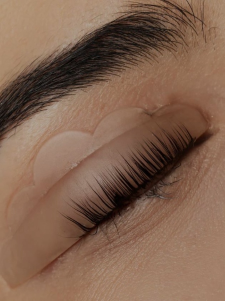 lash & brows